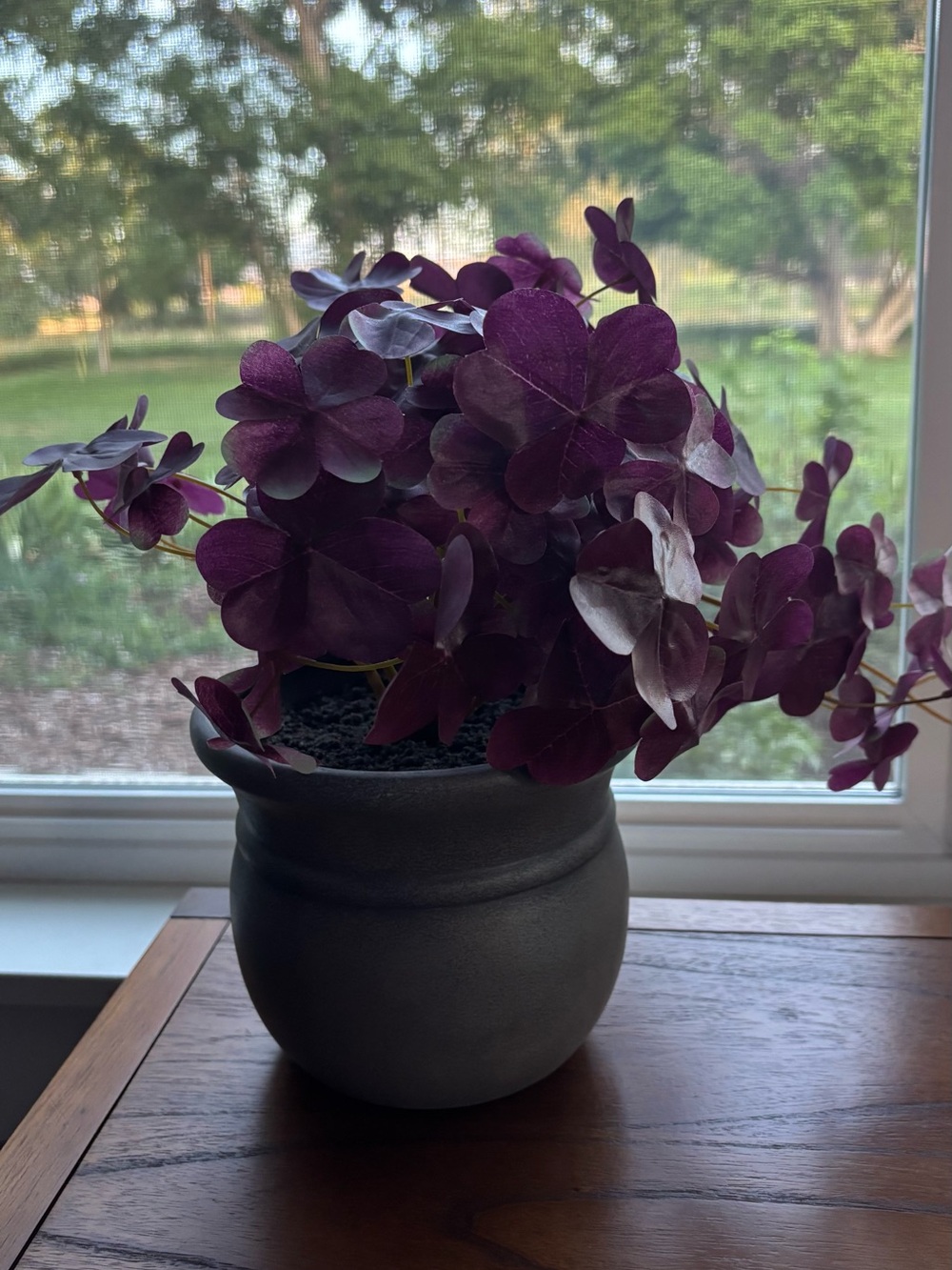 Threshold Deep Purple Oxalis Faux Plant in Black Ceramic Pot NWT